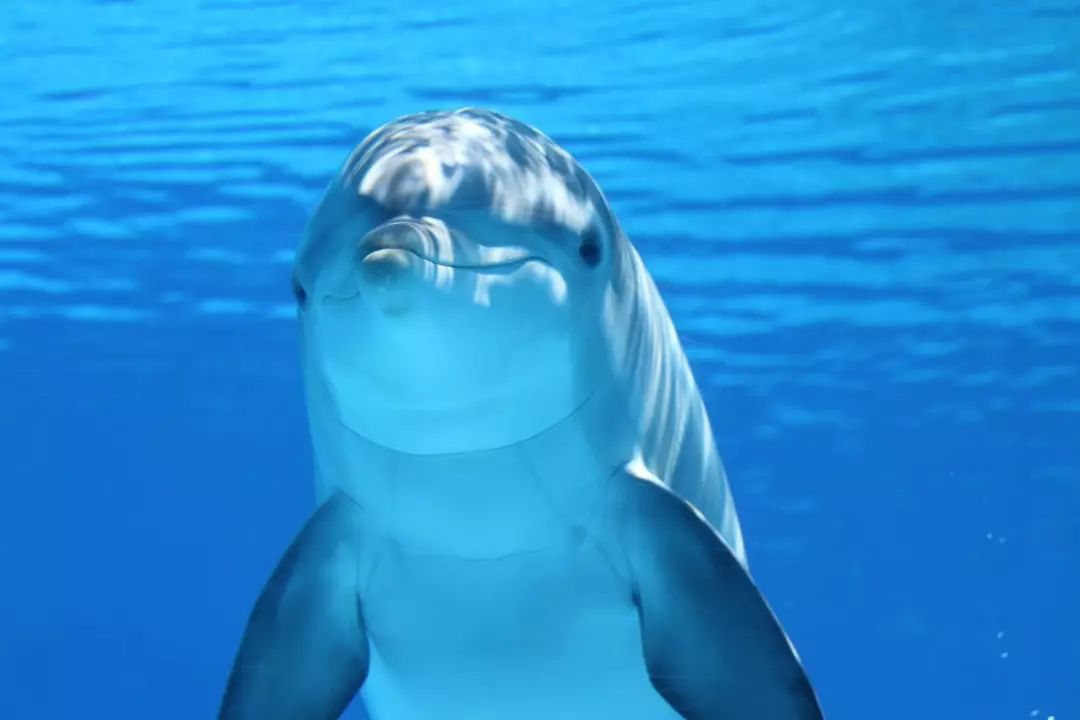 1560274156147420.png